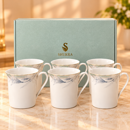 SHUKRA  MUG  GIFT SET 6PCS