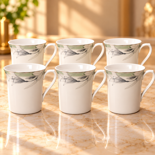 SHUKRA  MUG  GIFT SET 6PCS