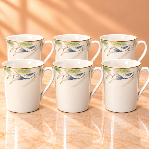 SHUKRA  MUG  GIFT SET 6PCS