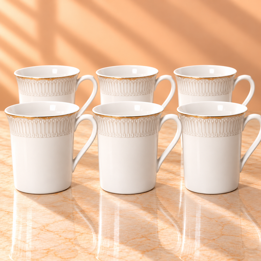 SHUKRA  MUG  GIFT SET 6PCS
