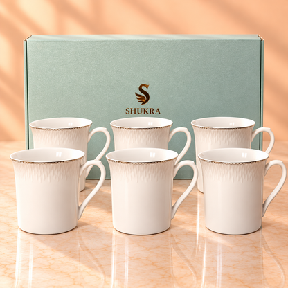 SHUKRA  MUG  GIFT SET 6PCS