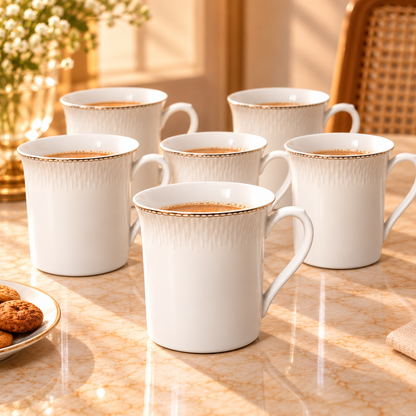 SHUKRA  MUG  GIFT SET 6PCS