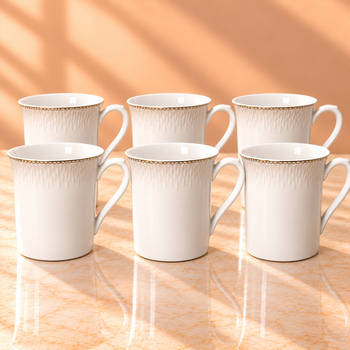 SHUKRA  MUG  GIFT SET 6PCS