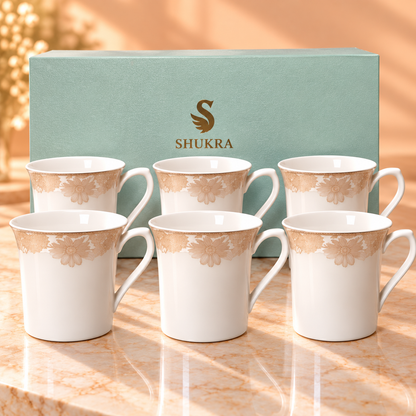 SHUKRA  MUG  GIFT SET 6PCS