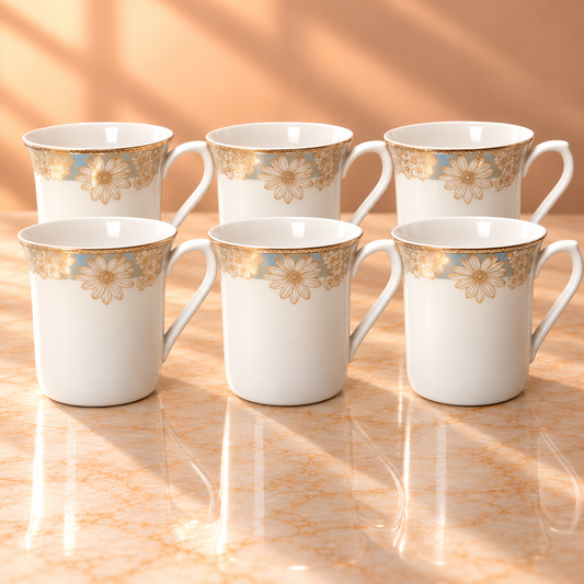 SHUKRA  MUG  GIFT SET 6PCS