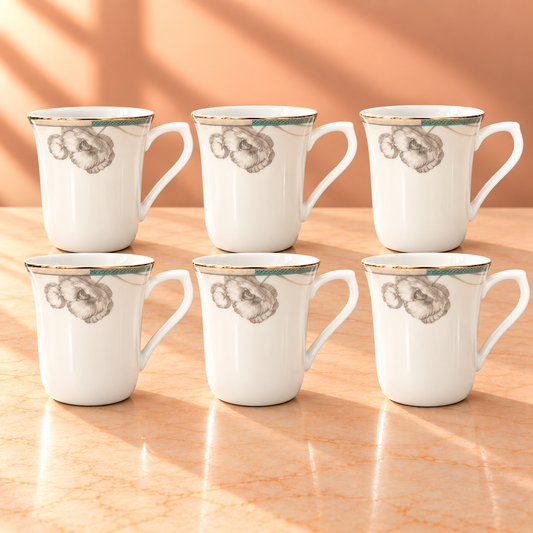 SHUKRA  MUG  GIFT SET 6PCS
